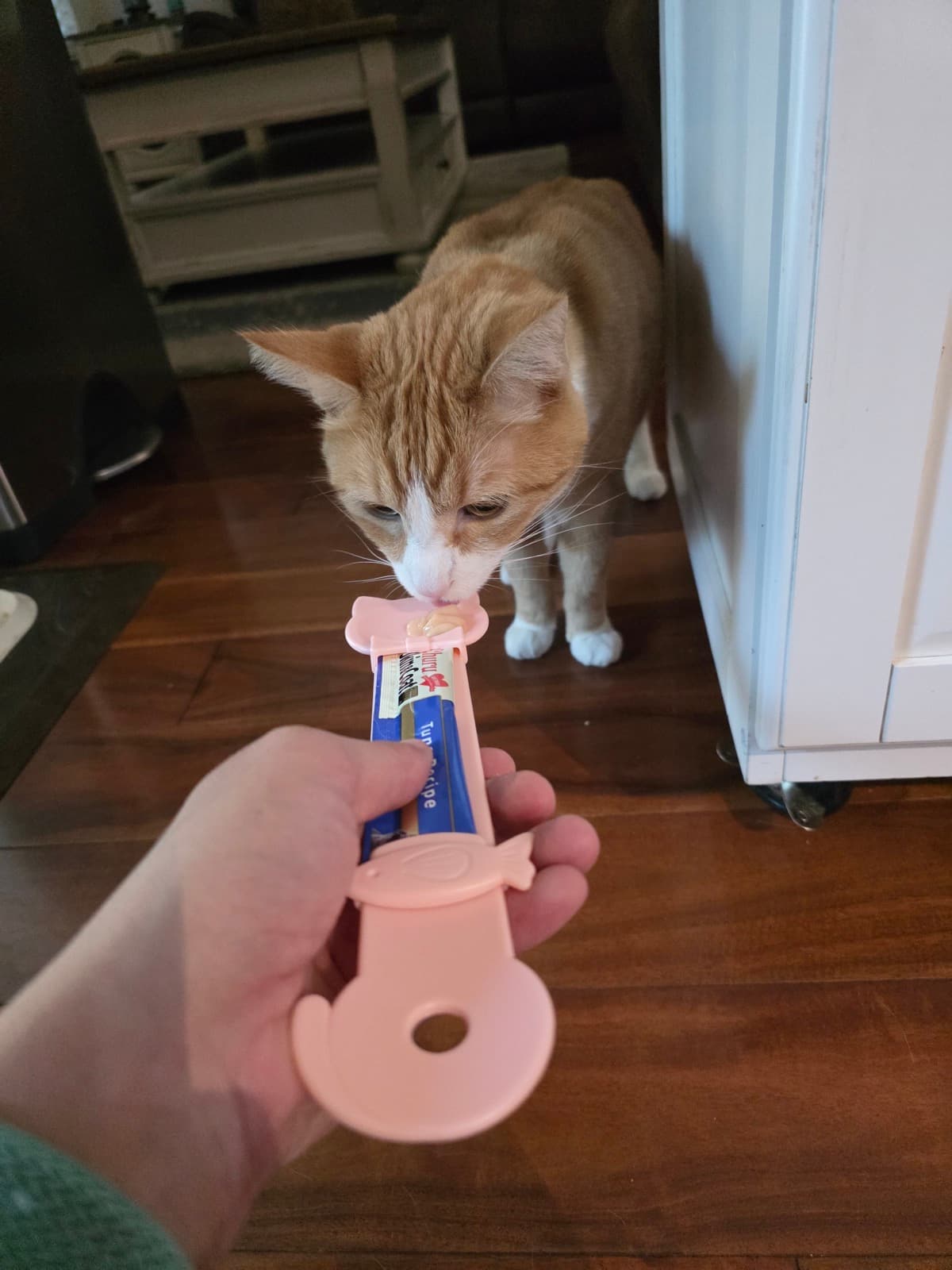 A pet client